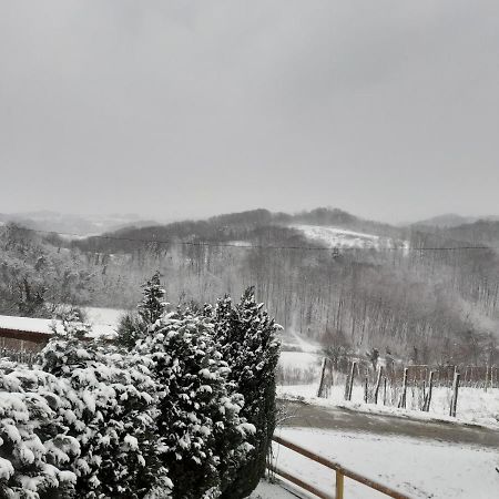 Ruralna Kuca Za Odmor Golub Villa Skaricevo Buitenkant foto