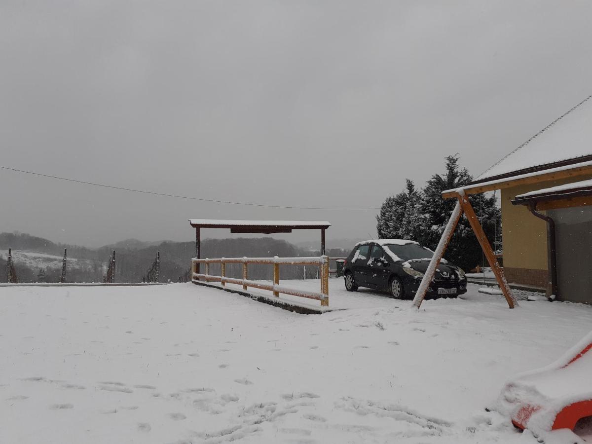 Ruralna Kuca Za Odmor Golub Villa Skaricevo Buitenkant foto