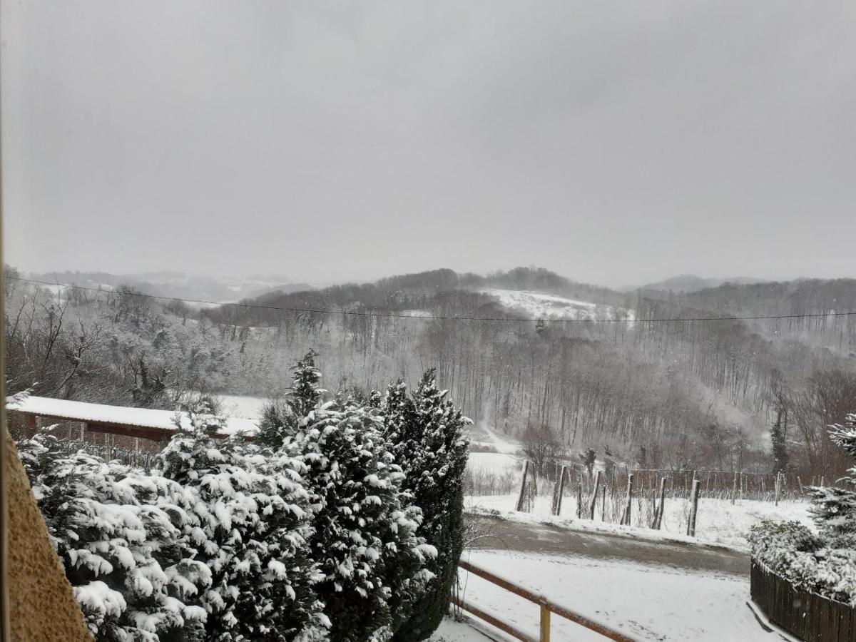 Ruralna Kuca Za Odmor Golub Villa Skaricevo Buitenkant foto