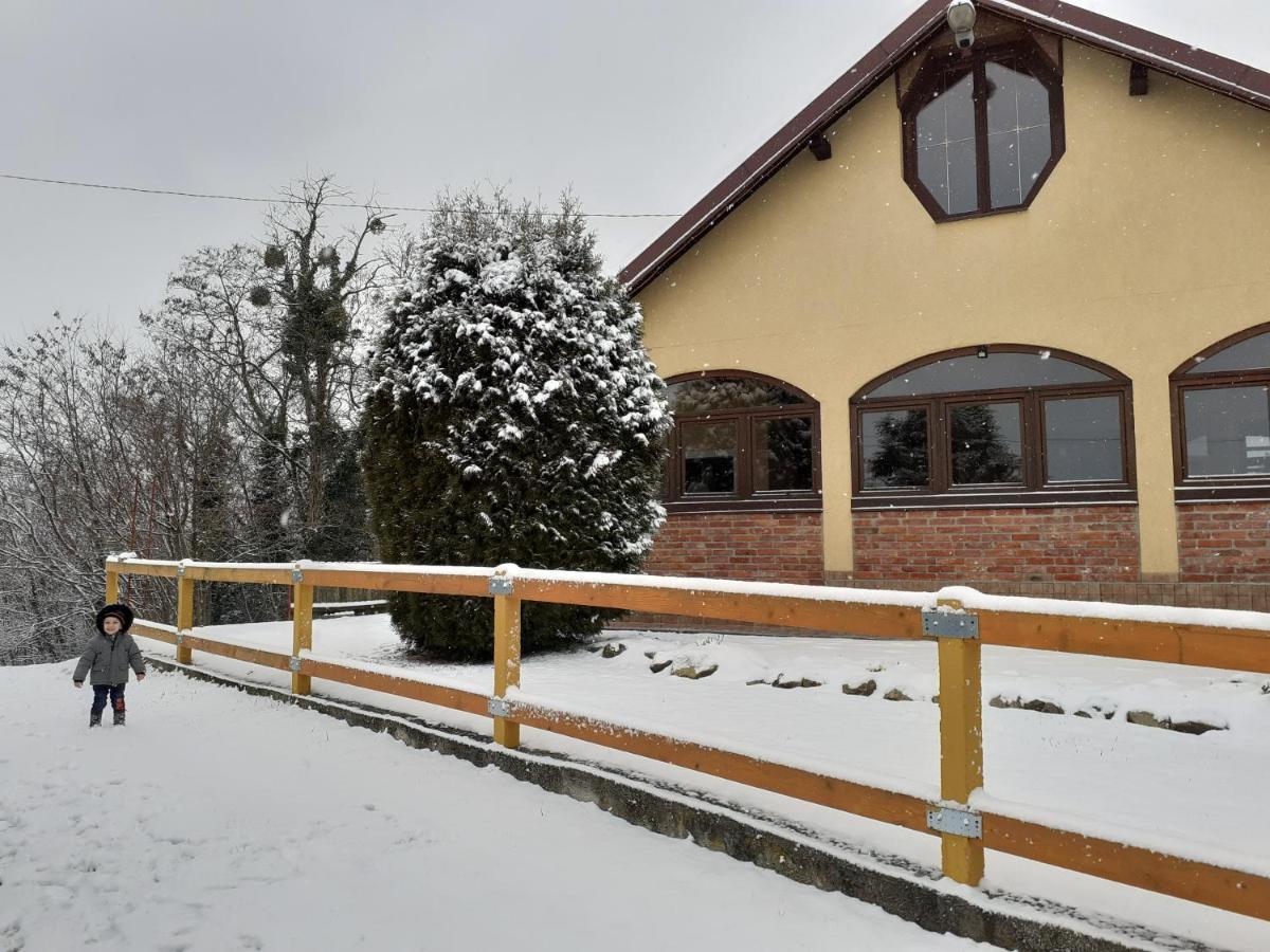 Ruralna Kuca Za Odmor Golub Villa Skaricevo Buitenkant foto