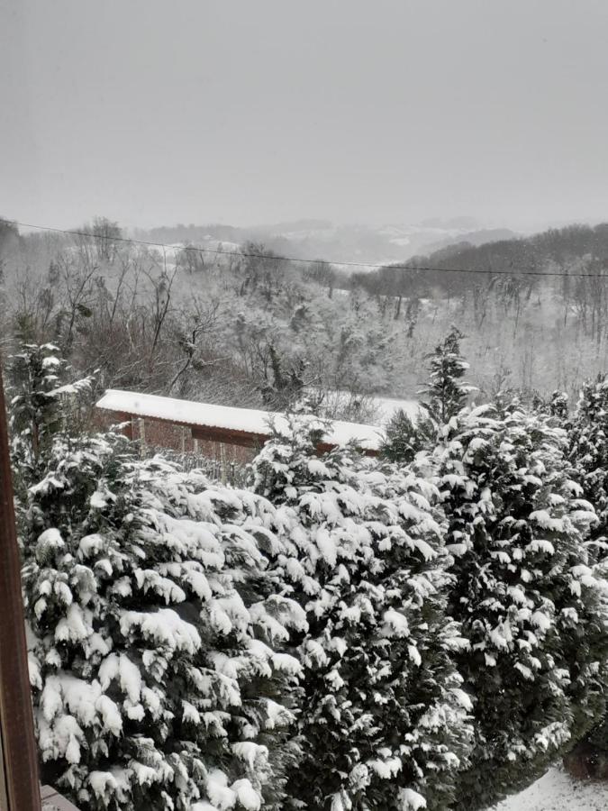 Ruralna Kuca Za Odmor Golub Villa Skaricevo Buitenkant foto