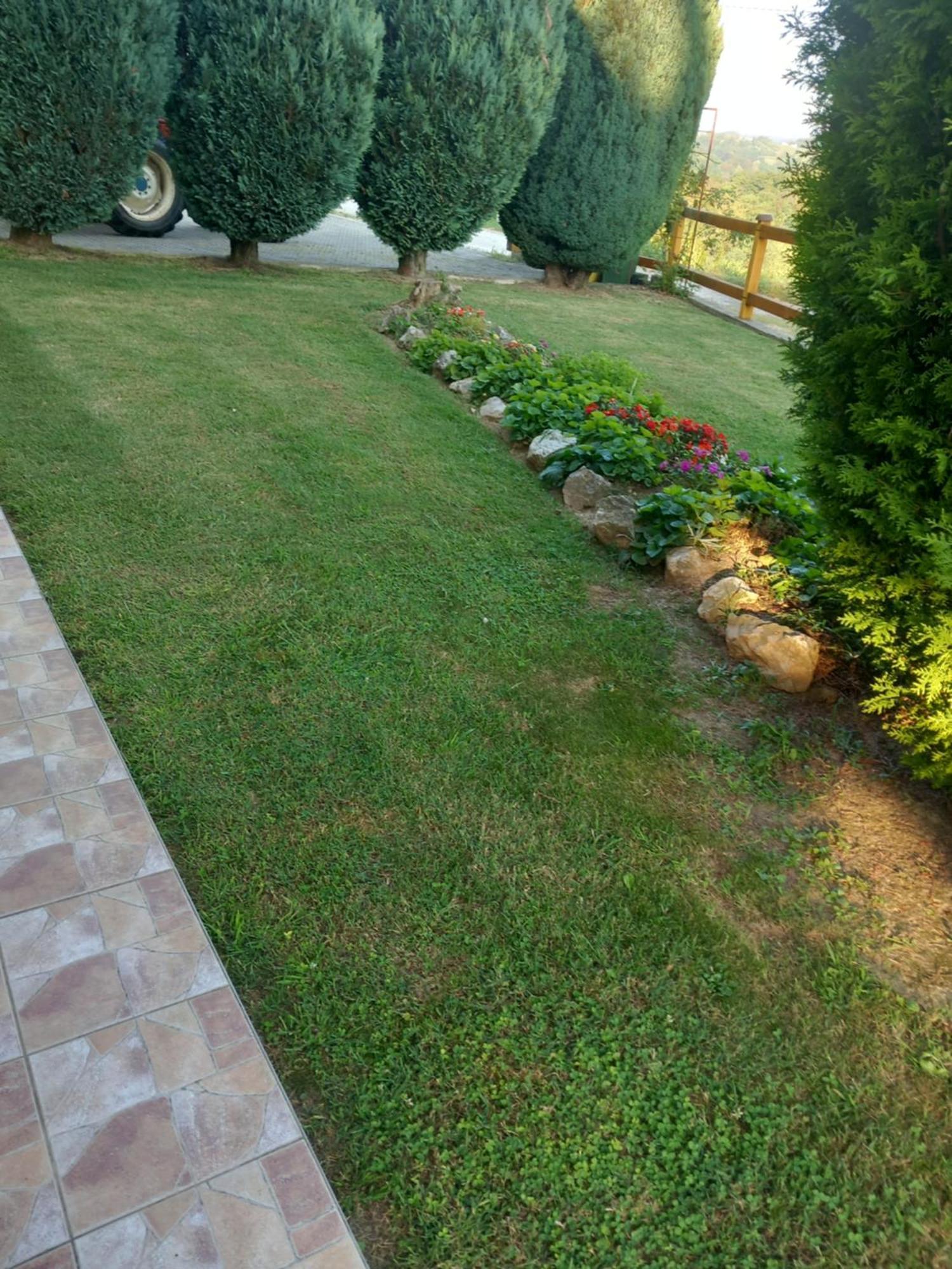 Ruralna Kuca Za Odmor Golub Villa Skaricevo Buitenkant foto